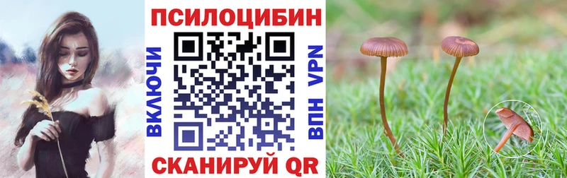где можно купить наркотик  Карасук  это наркотические препараты  Галлюциногенные грибы GOLDEN TEACHER 